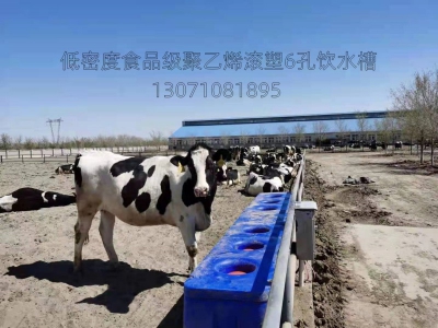 食品聚乙烯牛用恒温水槽